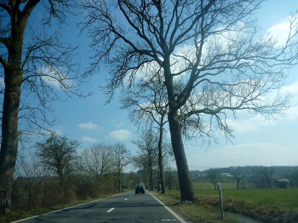 Sint-Martinus den XIIde - Paasdropping 2013